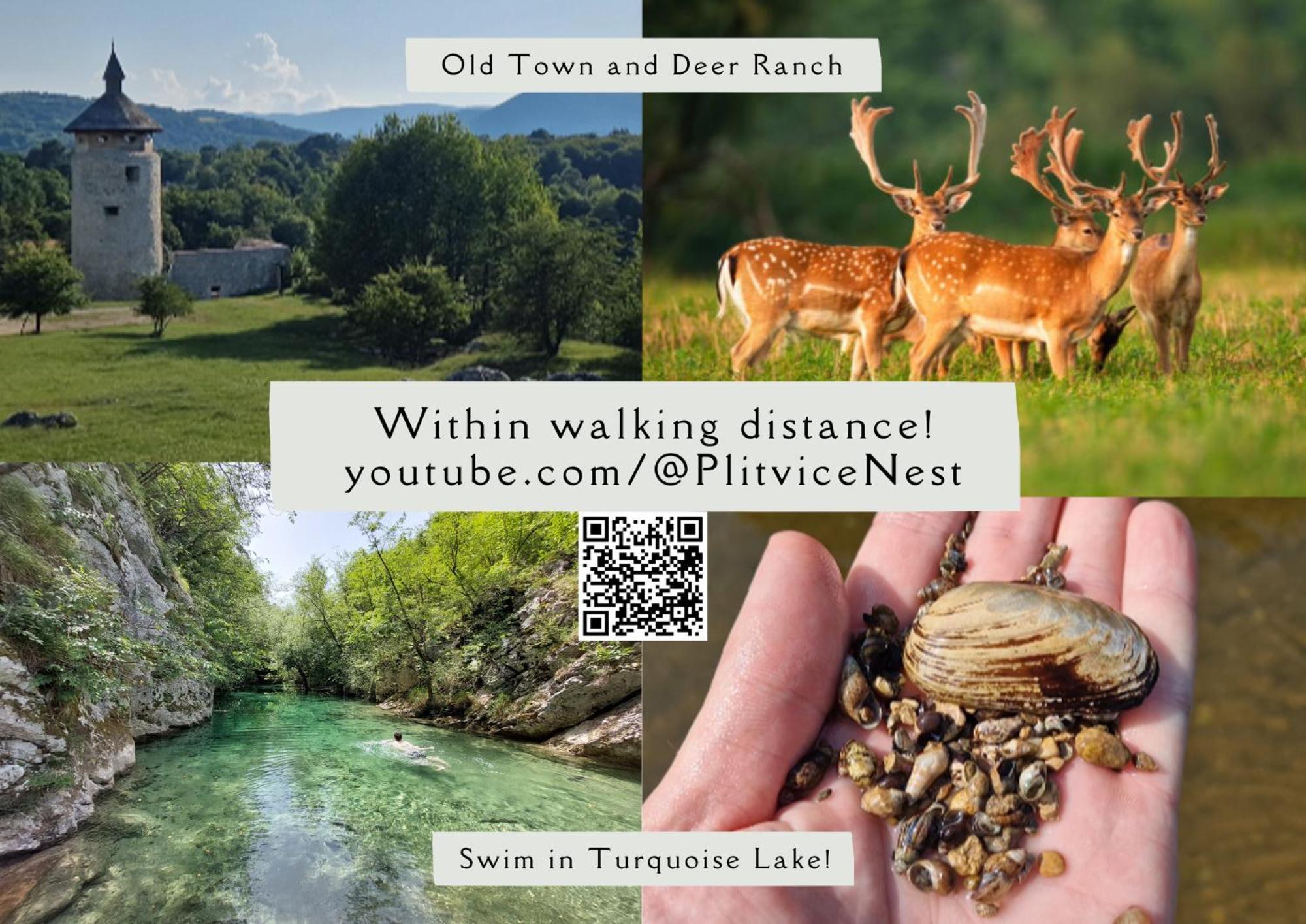 Plitvice Nest